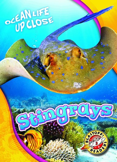 Rebecca Pettiford - Stingrays, Inbunden