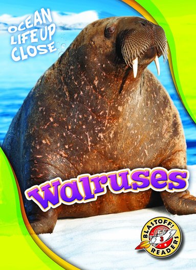 Kari Schuetz - Walruses, Inbunden