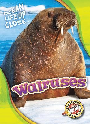 bokomslag Walruses