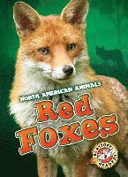 bokomslag Red Foxes