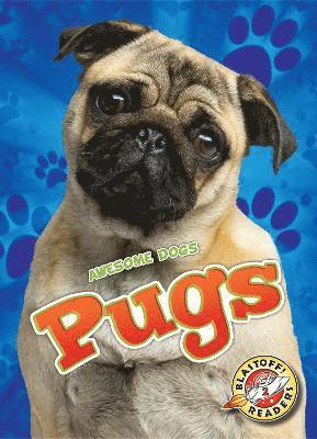 Pugs 1