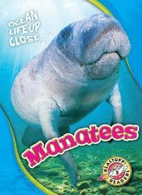 bokomslag Manatees