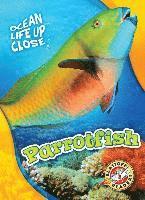 bokomslag Parrotfish