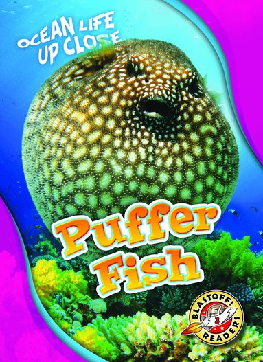 Rebecca Pettiford - Puffer Fish, Inbunden