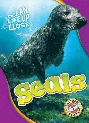 Seals 1