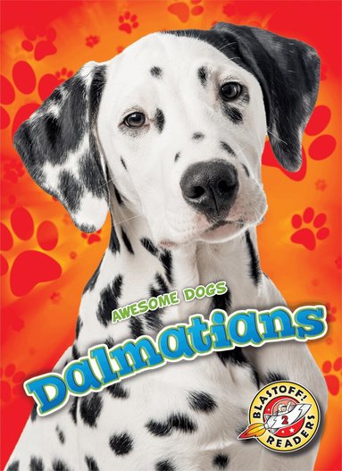 Mari Schuh - Dalmatians, Inbunden