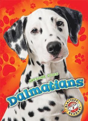 bokomslag Dalmatians