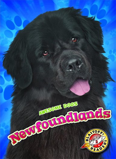 Nathan Sommer - Newfoundlands, Inbunden