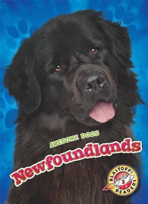 bokomslag Newfoundlands