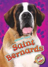 bokomslag Saint Bernards