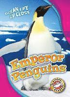 bokomslag Emperor Penguins