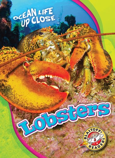 Heather Adamson - Lobsters, Inbunden
