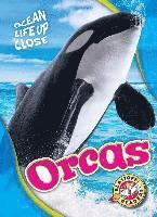 bokomslag Orcas