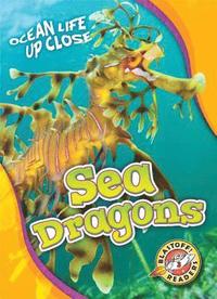 bokomslag Sea Dragons