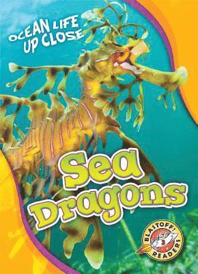 Sea Dragons 1