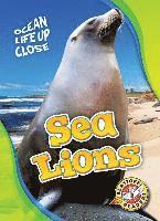 bokomslag Sea Lions