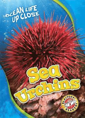 Heather Adamson - Sea Urchins, Inbunden