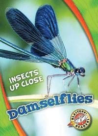 bokomslag Damselflies