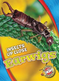 bokomslag Earwigs