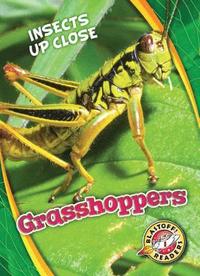 bokomslag Grasshoppers