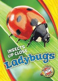 bokomslag Ladybugs