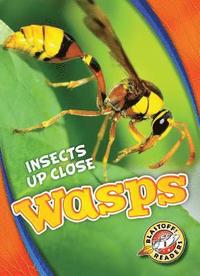 bokomslag Wasps