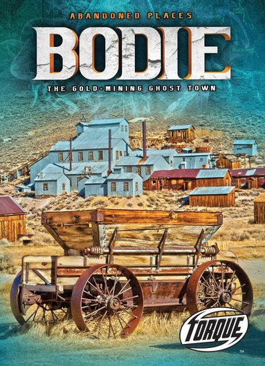 Kari Schuetz - Bodie : the Gold Mining Ghost Town, Inbunden