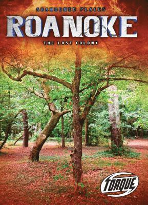 bokomslag Roanoke : the Lost Colony