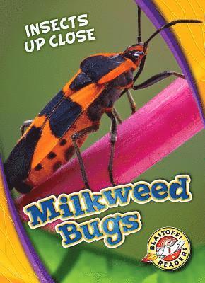 bokomslag Milkweed Bugs