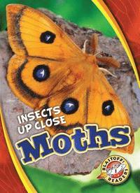 bokomslag Moths