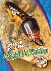 bokomslag Termites