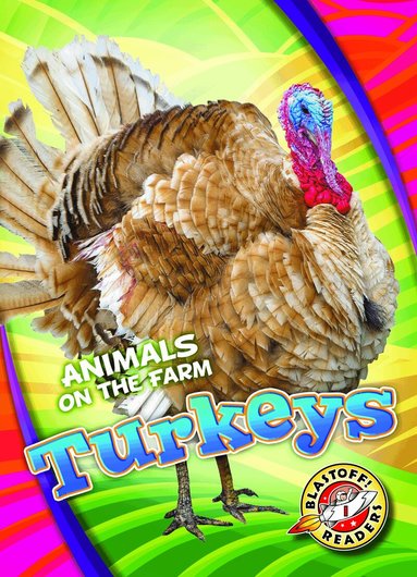 Kari Schuetz - Turkeys, Inbunden