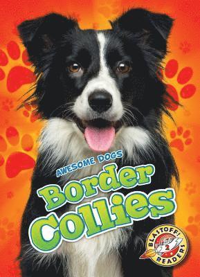 bokomslag Border Collies