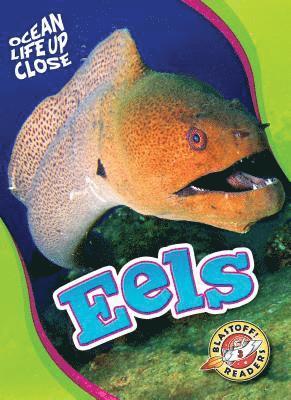 bokomslag Eels