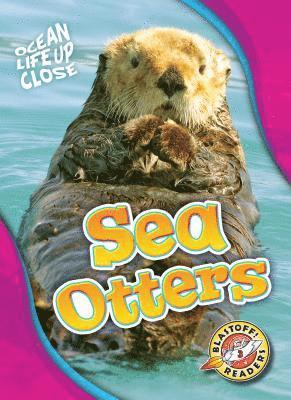 Sea Otters 1