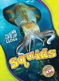 bokomslag Squids