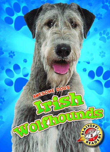 Paige V. Polinsky - Irish Wolfhounds, Inbunden