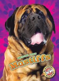 bokomslag Mastiffs