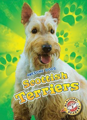 Scottish Terriers