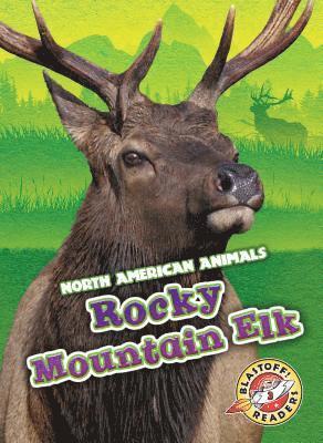 Rebecca Sabelko - Rocky Mountain Elk, Inbunden