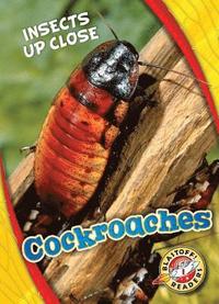 bokomslag Cockroaches