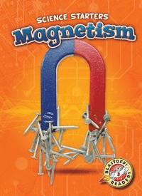 bokomslag Magnetism