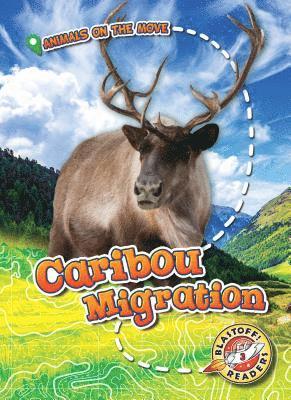 Caribou Migration 1