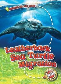 bokomslag Leatherback Sea Turtle Migration