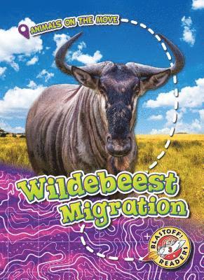 Wildebeest Migration 1