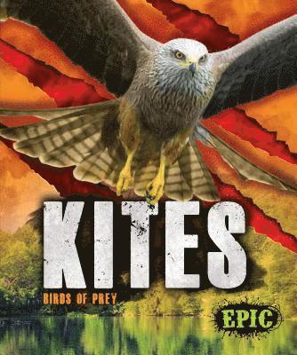 Kites 1