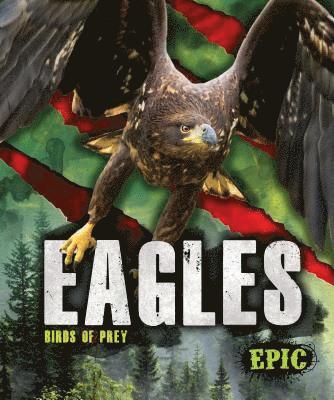 Eagles 1