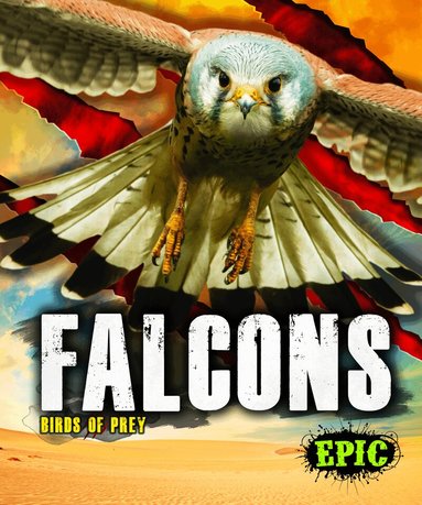 Nathan Sommer - Falcons, Inbunden