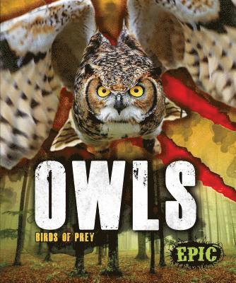 Nathan Sommer - Owls, Inbunden