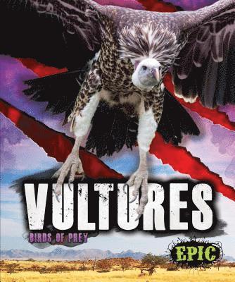 bokomslag Vultures